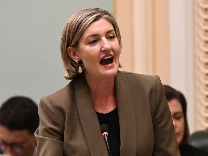 Shannon Fentiman says the LNP made "very strong allegations" that she incited online violence. (Darren England/AAP PHOTOS)