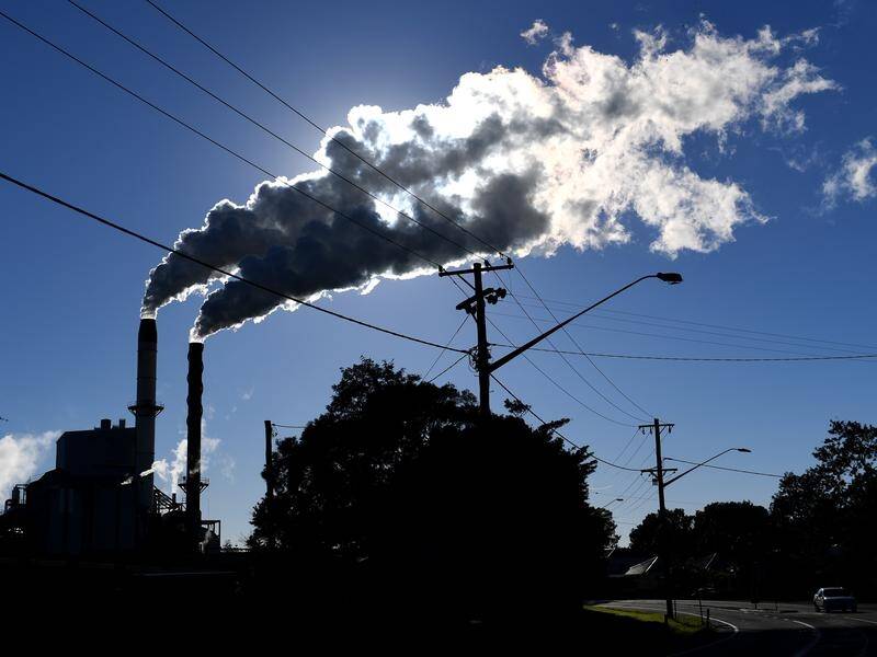 Changes unlock millions of carbon credits Mandurah Mail