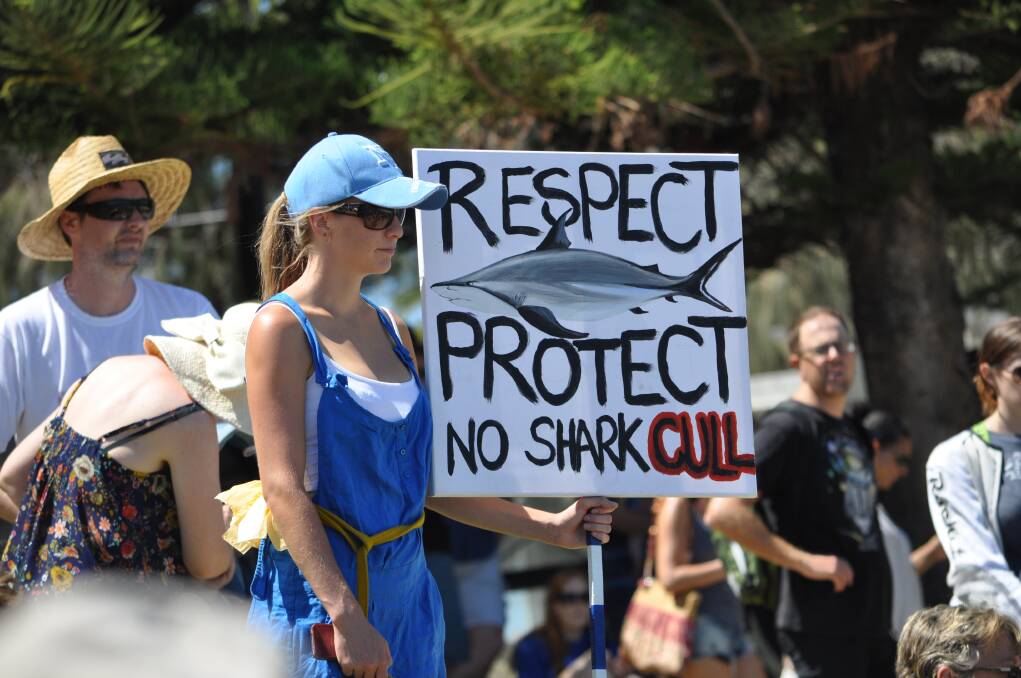 GALLERY: Shark cull protest | Mandurah Mail | Mandurah, WA